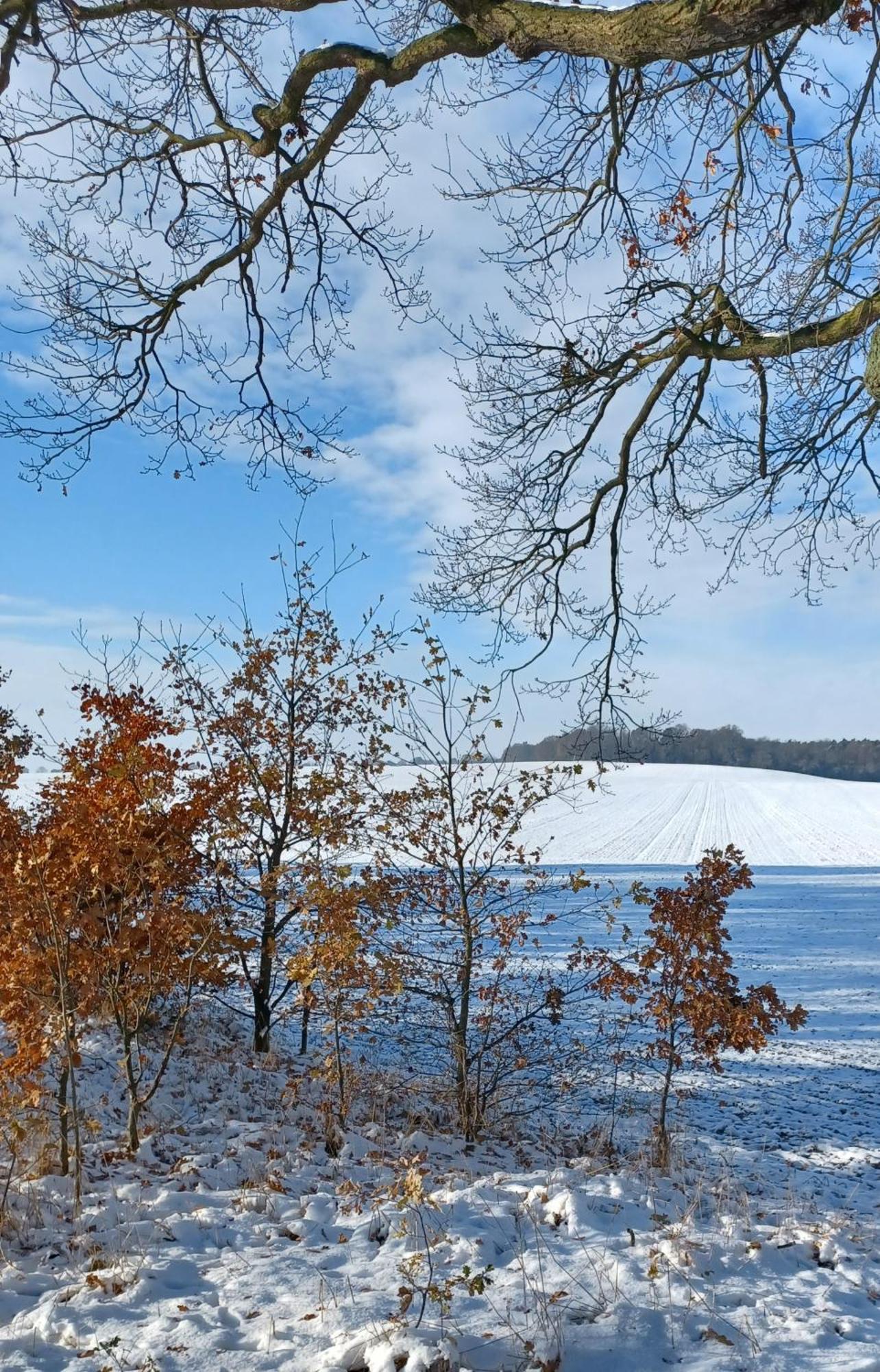 Willa Waldblick Cavertitz Zewnętrze zdjęcie